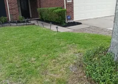 Affordable Landscaping