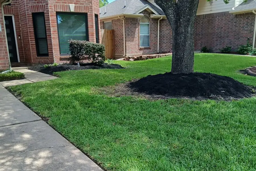Reliable Landscape Contractor in Pearland, TX