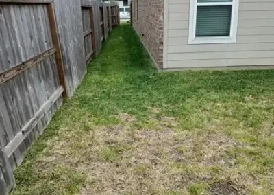 Landscape Services (3)