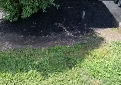 Landscaping Company
