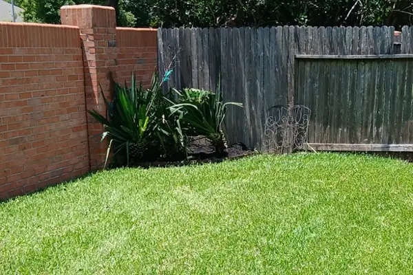 Landscaping Maintenance