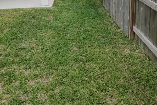 Lawn Mowing