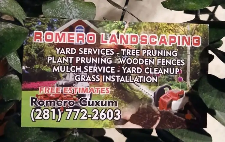 Professional Landscaping Company